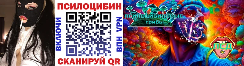купить наркотик  площадка клад  Галлюциногенные грибы GOLDEN TEACHER  Данилов 